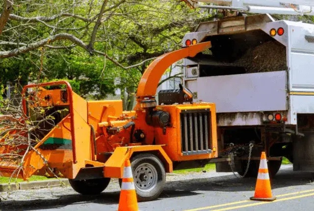 tree removal contra costa ca