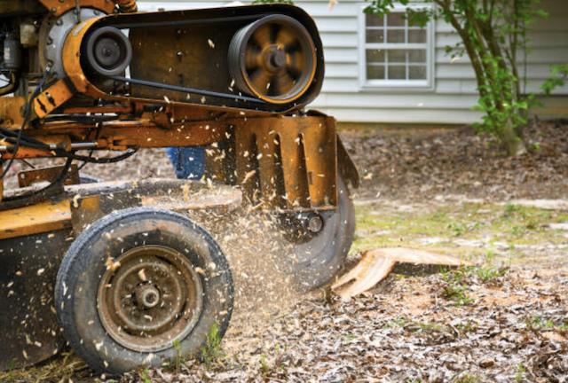 stump gtinding contra costa